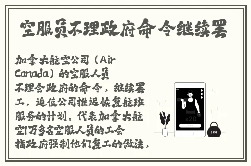 麻豆视频精品与一区二区区别